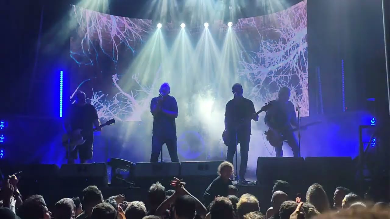 Buitres - Azul | Plaza Mateo 20/12/25
