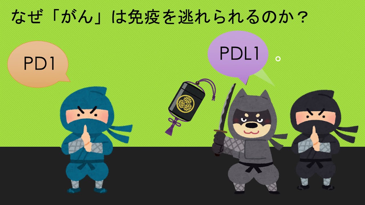 がんの免疫療法