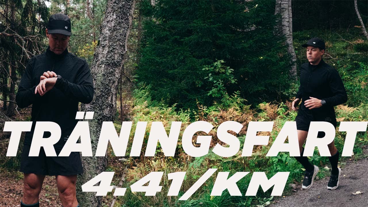 SISTA MILEN & TRÄNINGSFART PÅ 4.41/KM