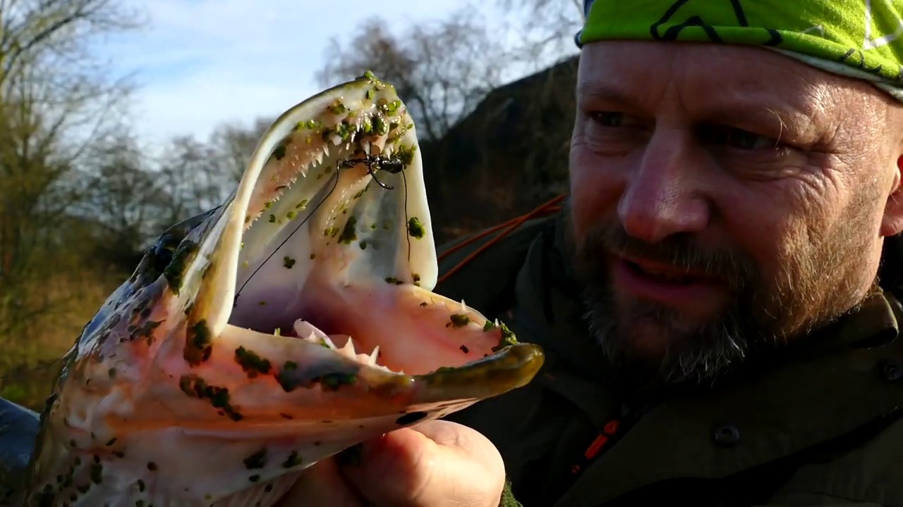 Matze Koch: Ein Bissanzeiger für alle Fälle