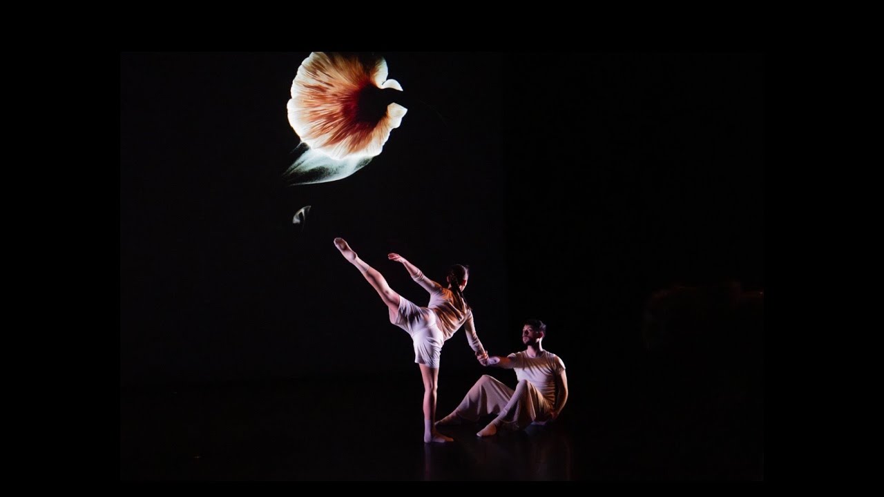 Network | vildwerk. - Dancing For Our Wonderful World, New York Live Arts, December 2025