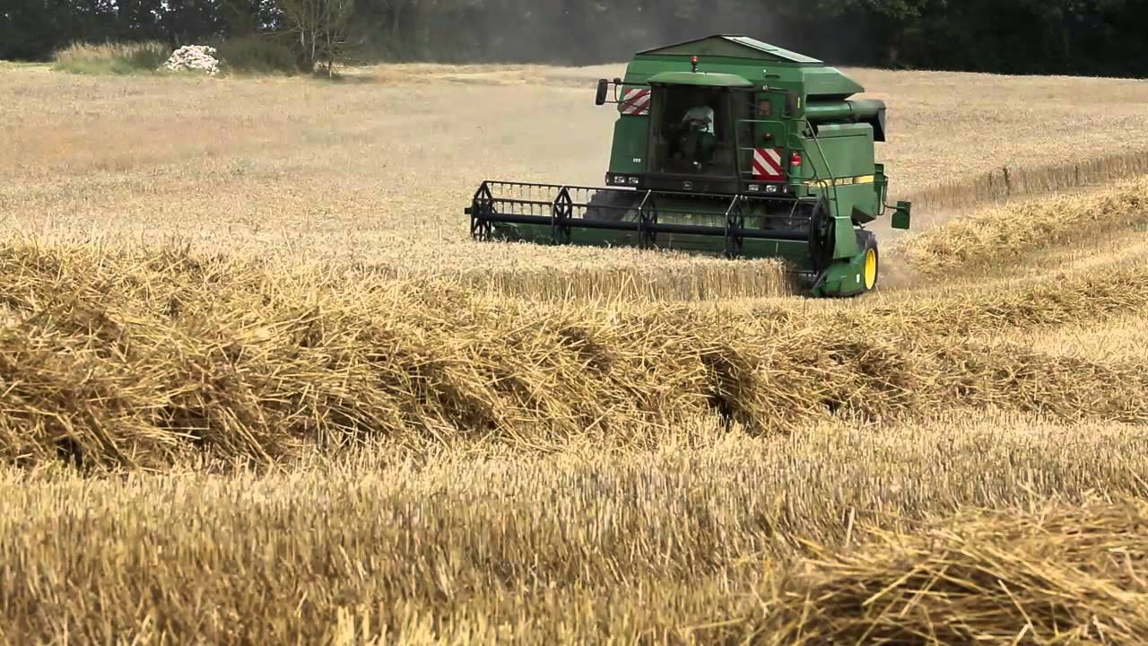Moisson d'une parcelle de bl&eacute; tendre