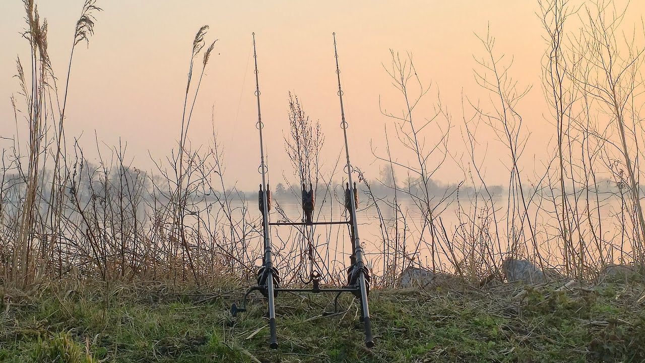 Ferenc fishing is live vanaf de waterkant!