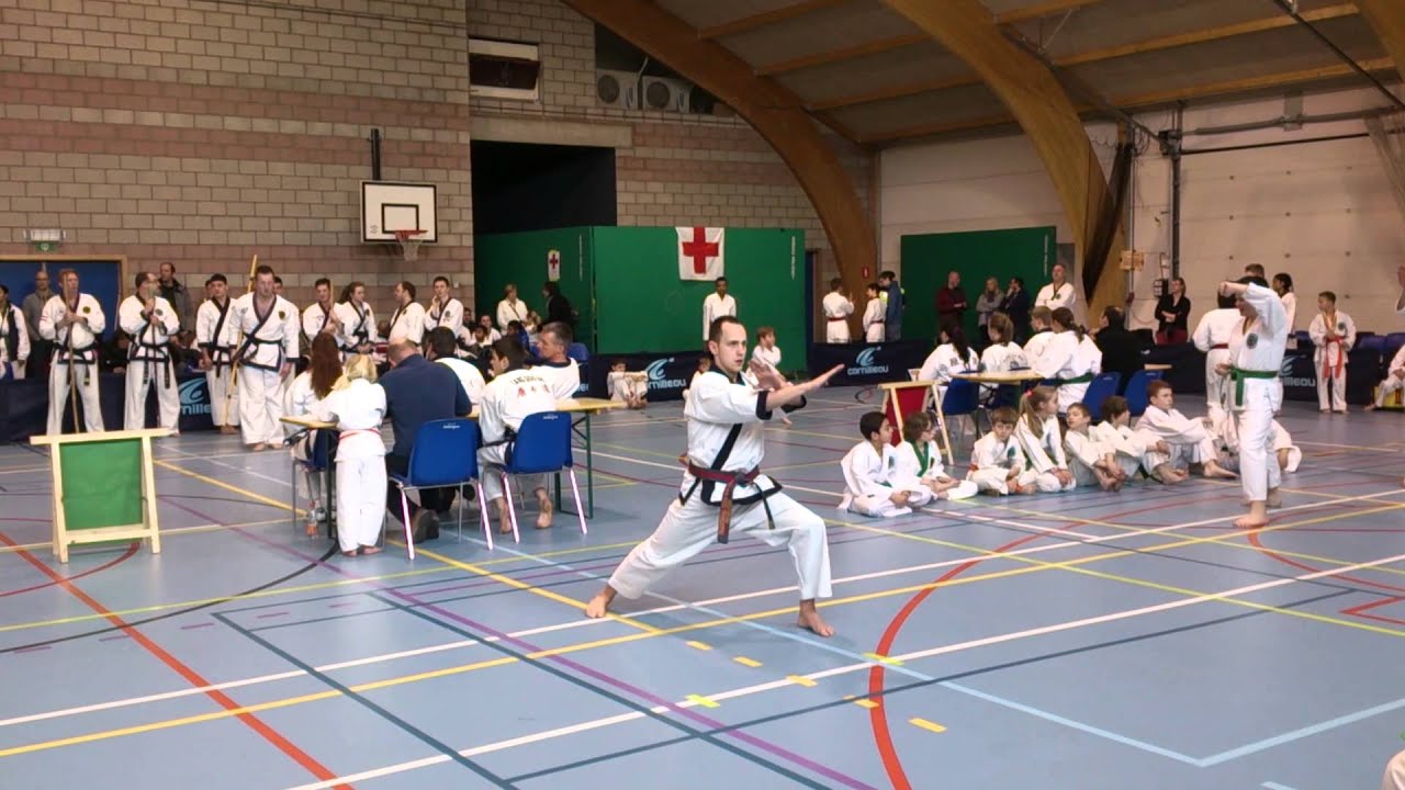 Jion - Tang Soo Do