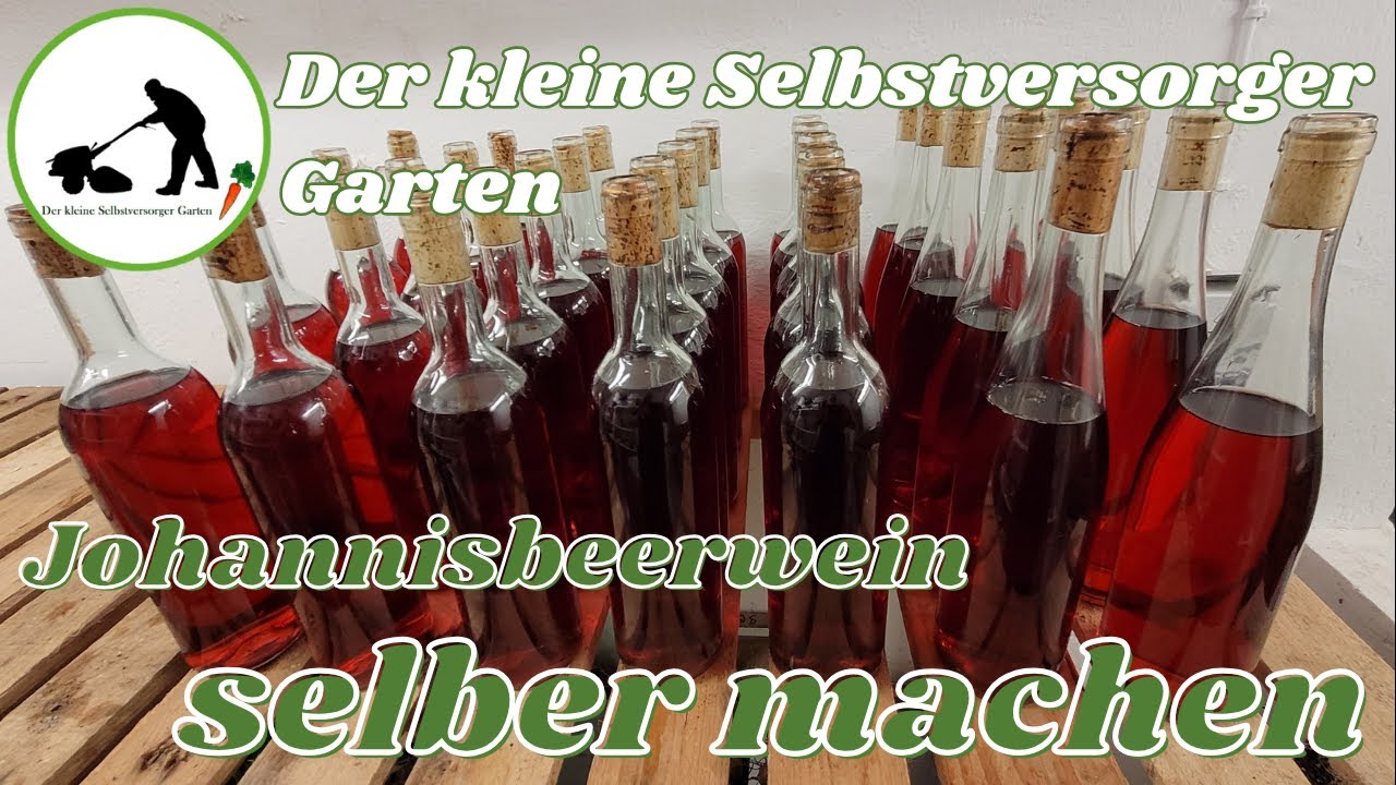 Johannisbeerwein selbst gemacht