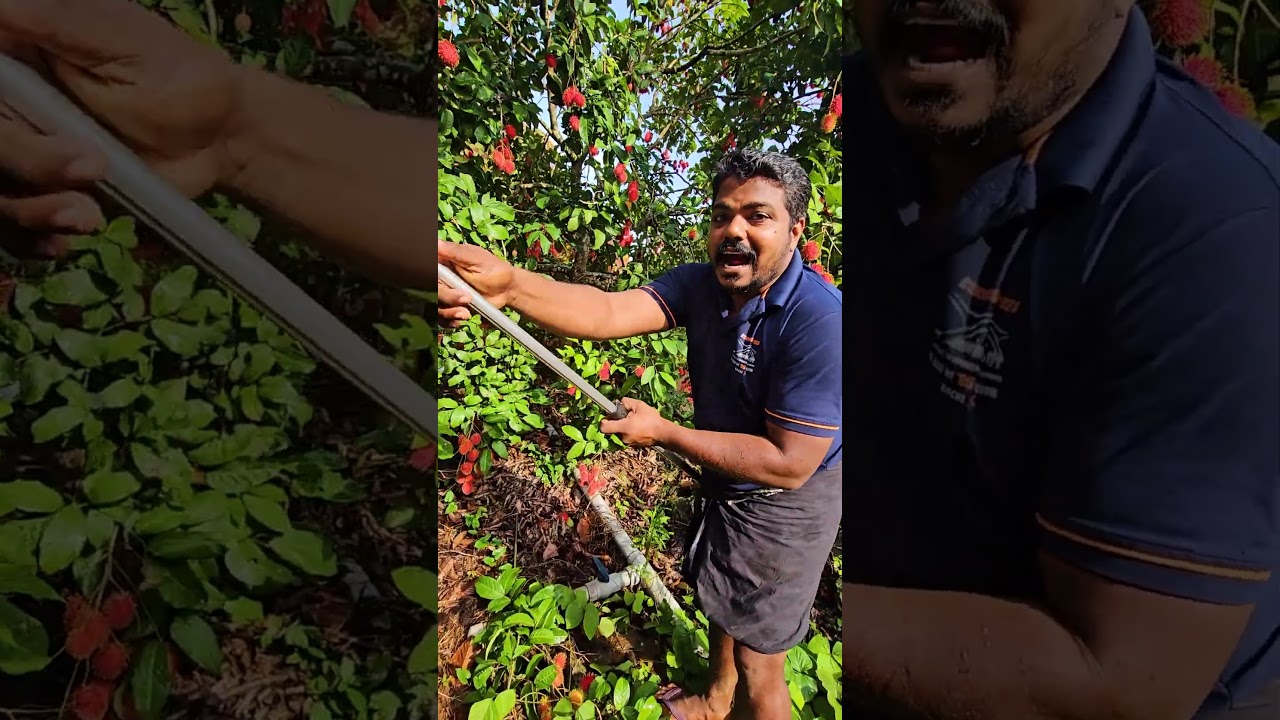 A cool thing to do for pruning