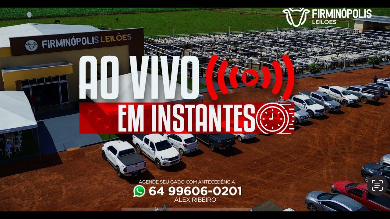 FIRMINOPOLIS LEILÕES 10/06/2025