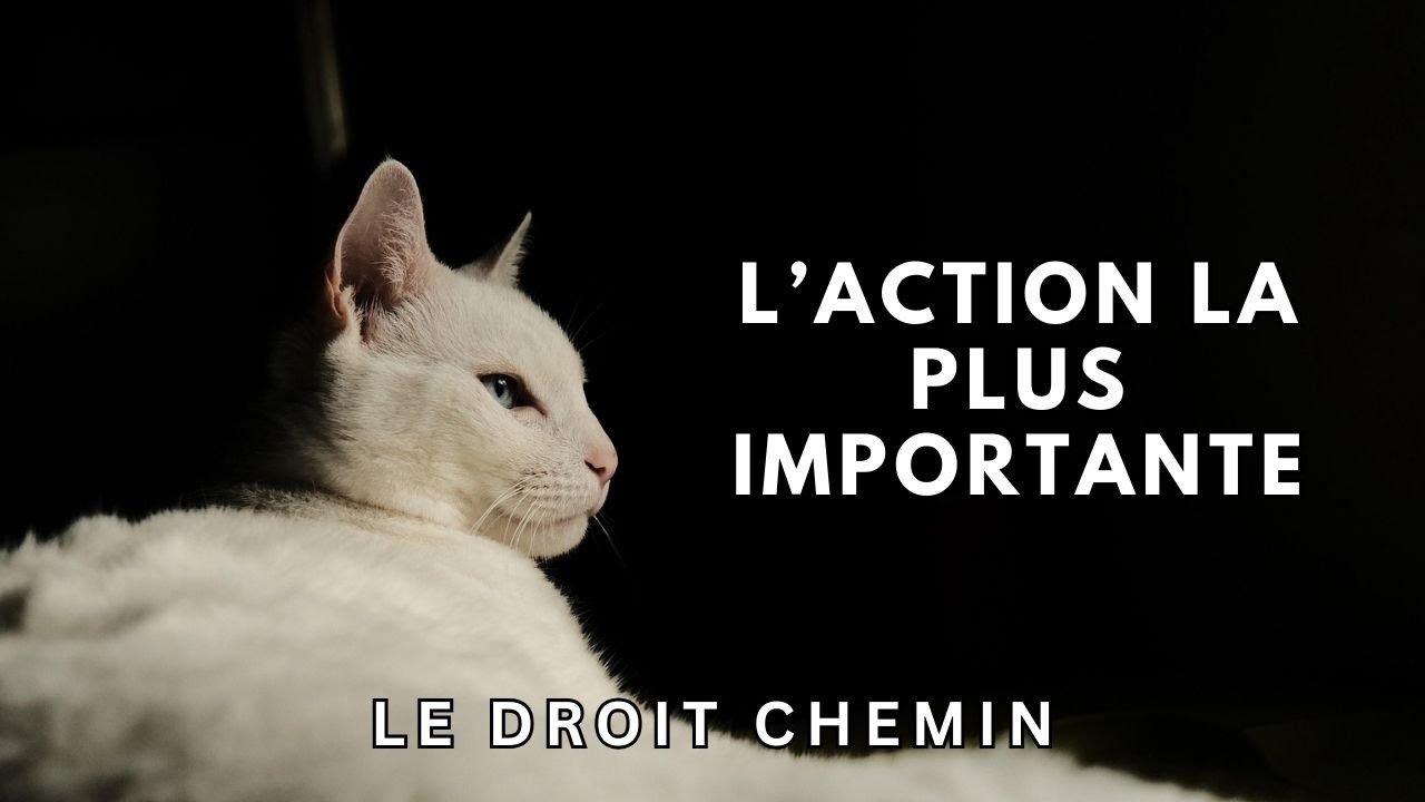 L'action la plus importante - (LeDroitChemin)
