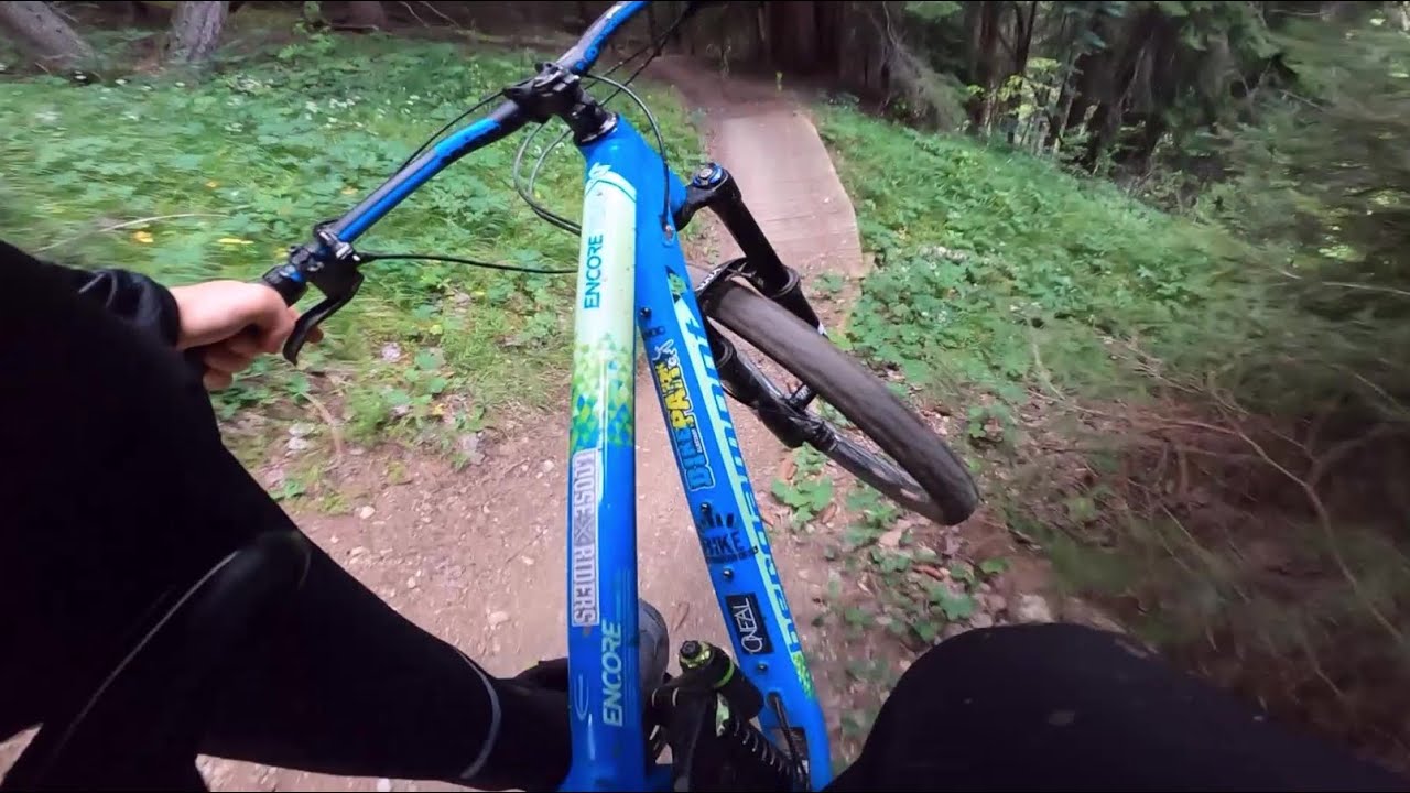 Wildbach Trail RAW | Bikepark Edits