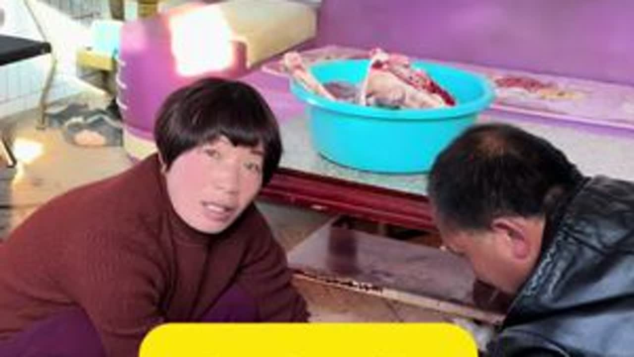 年前最后一天，热闹依旧，提前祝大家马年吉祥，马到成功！#我的乡村生活 #日常vlog #年味