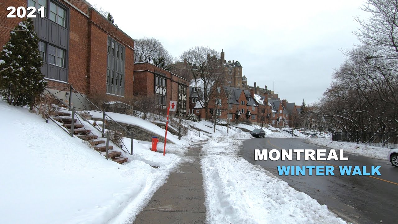 Montreal Winter Walk after a Snowfall | Canada Walking Video 2021