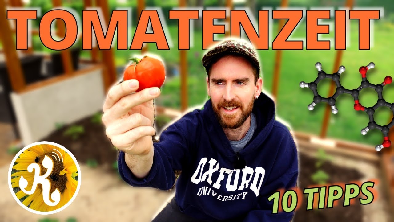10 Tipps zum TOMATEN-Anbau (+ warum SORTENVIELFALT wichtig ist) 🍅🌟