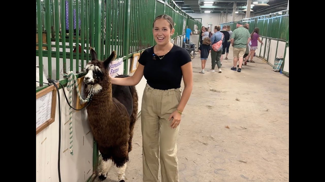 Llamafest Pkg - Focal Point News