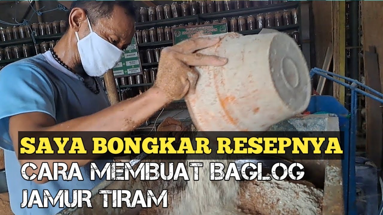 CARA MEMBUAT BAGLOG JAMUR