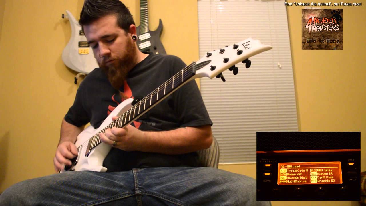 Guitar Cover - Modded LTD FRX 401