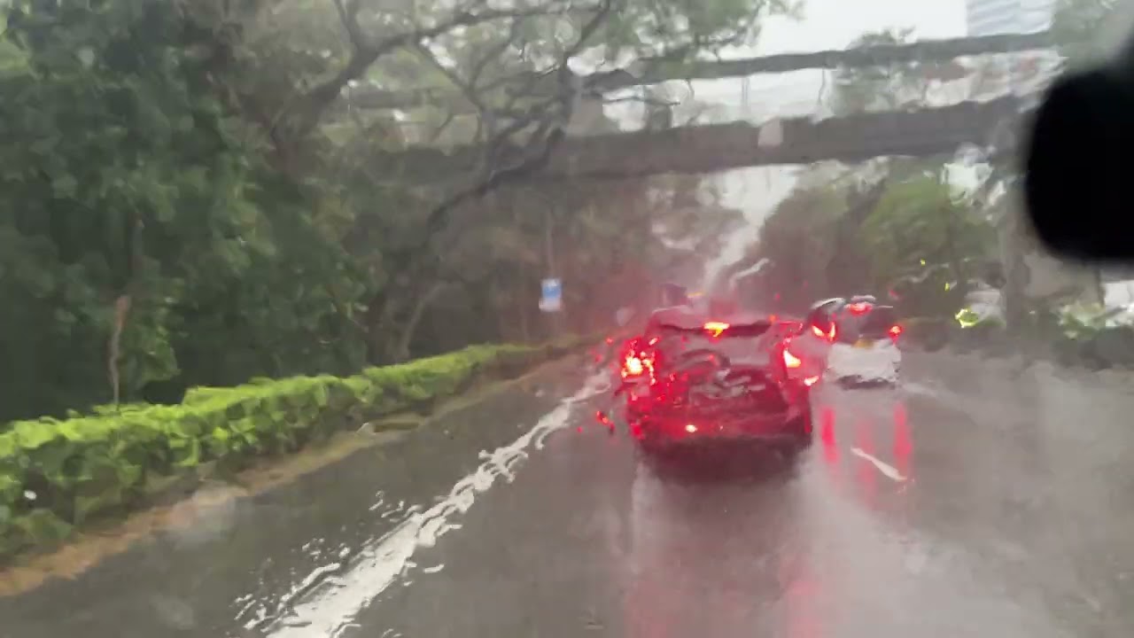 14 February 2026 Speed limiter your mother. Wide turning X plate 