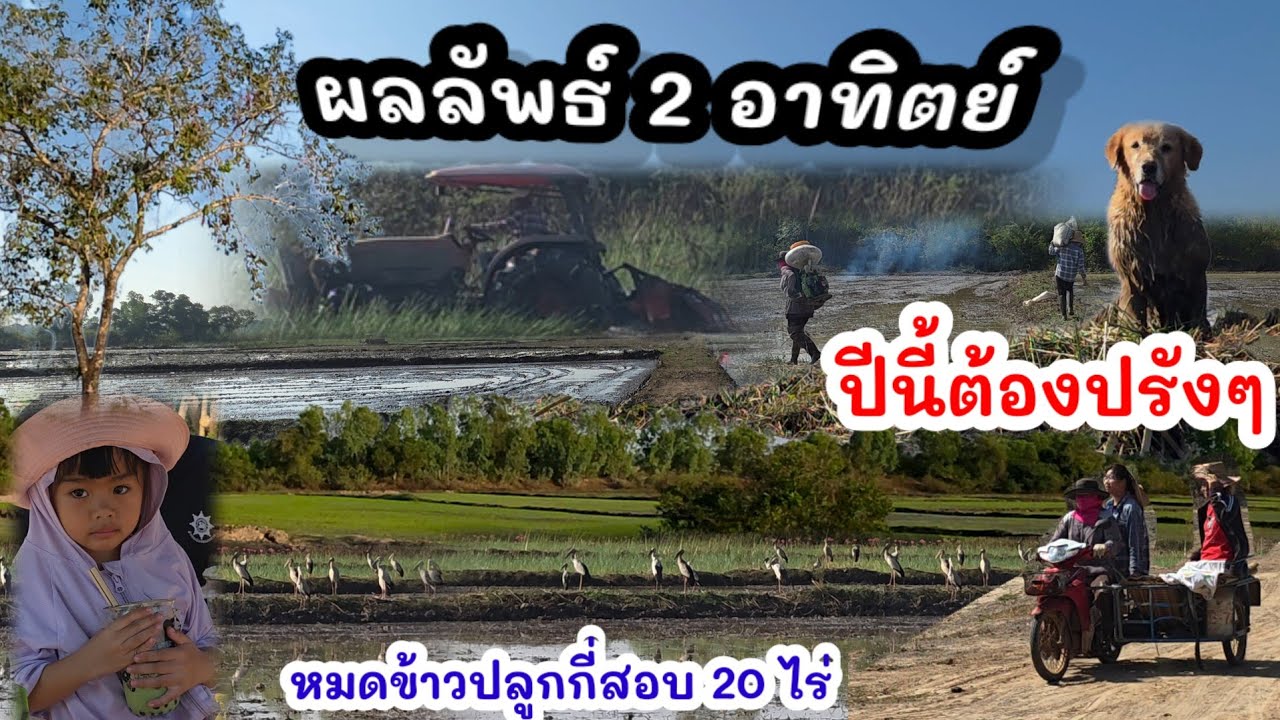 EP.148 ปีนี้ต้องปัง ธุรกิจครอบครัวจริงๆ ช่วยกันคนละไม้คนละมือ 