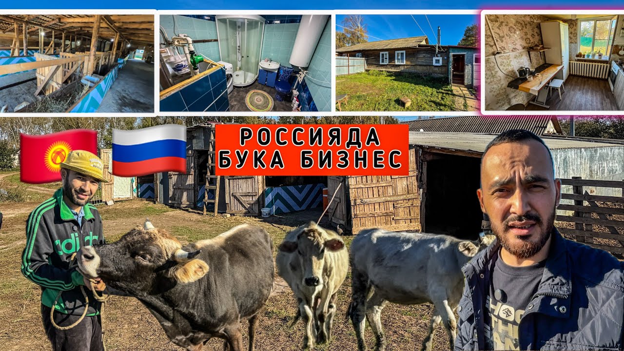 МЫНА САГА БИЗНЕС 34 мал🐄🐂 8сотых ЖЕР даяр УЙ🏠🛁🚽🔥 БААРЫ САТЫЛАТ ‼️