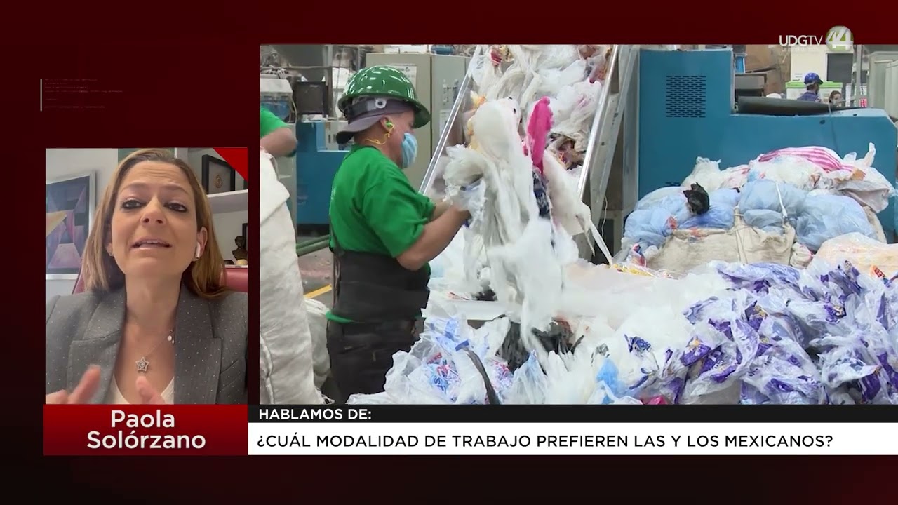 ¿Cuál modalidad de trabajo prefieren las y los mexicanos? | Paola Solórzano