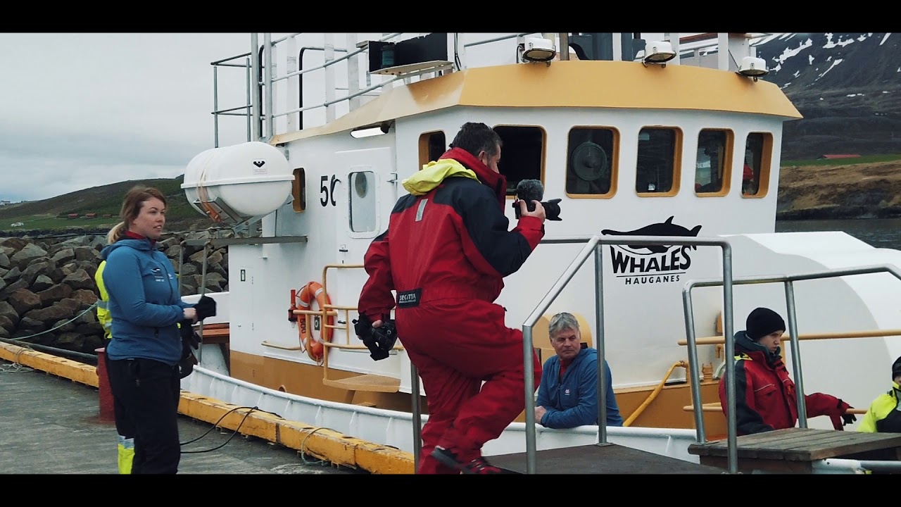 HAUGANES WHALE WATCHING (ICELAND)