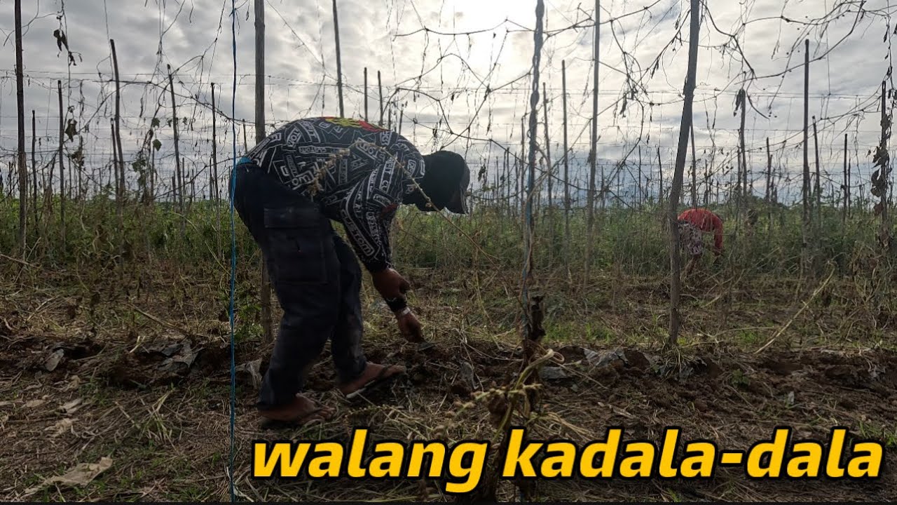 DAANG LIBONG KITA NAGING BATO PA