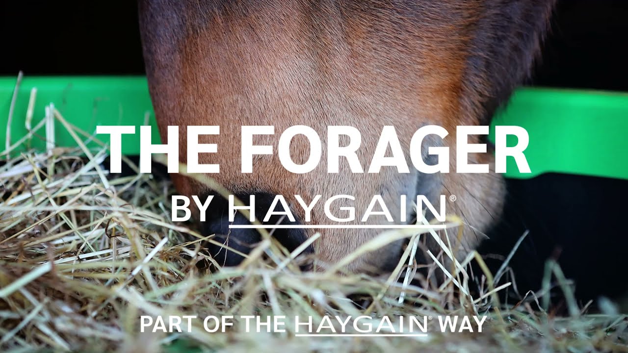 Introducing The Forager Slow Feeder