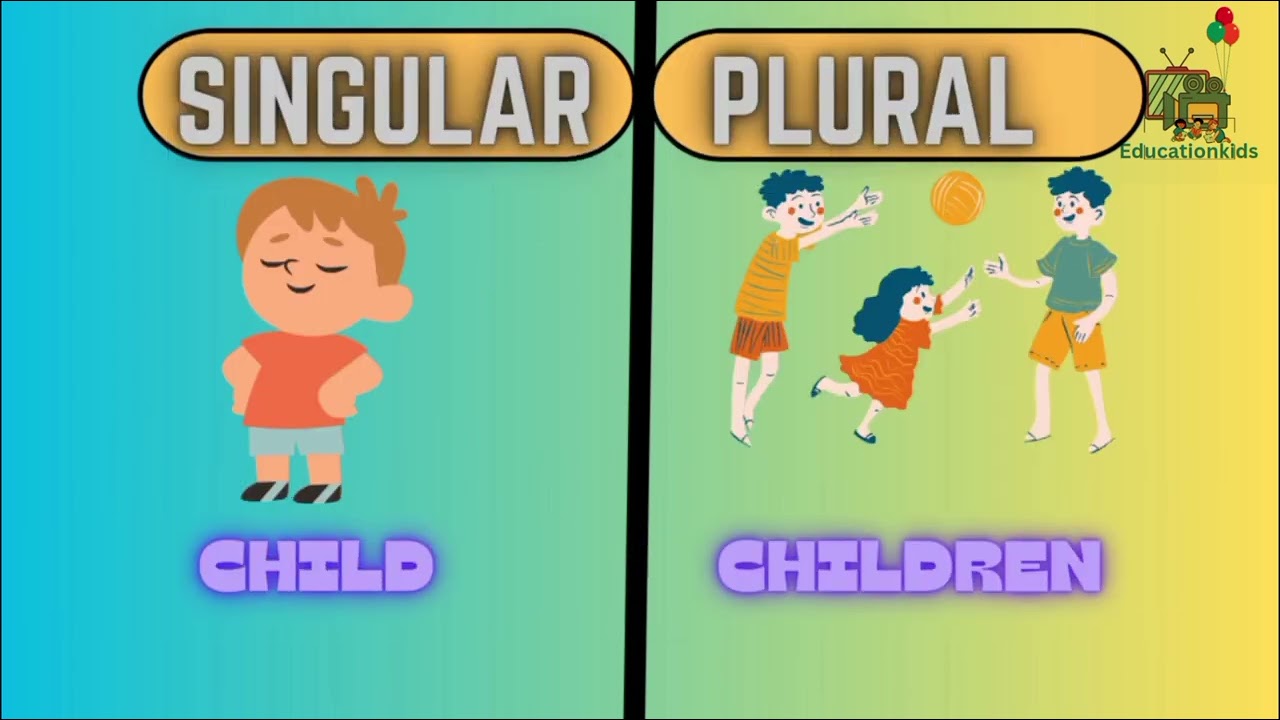 Singular and plural: English https://www.youtube.com/@Educationkids_ARN
