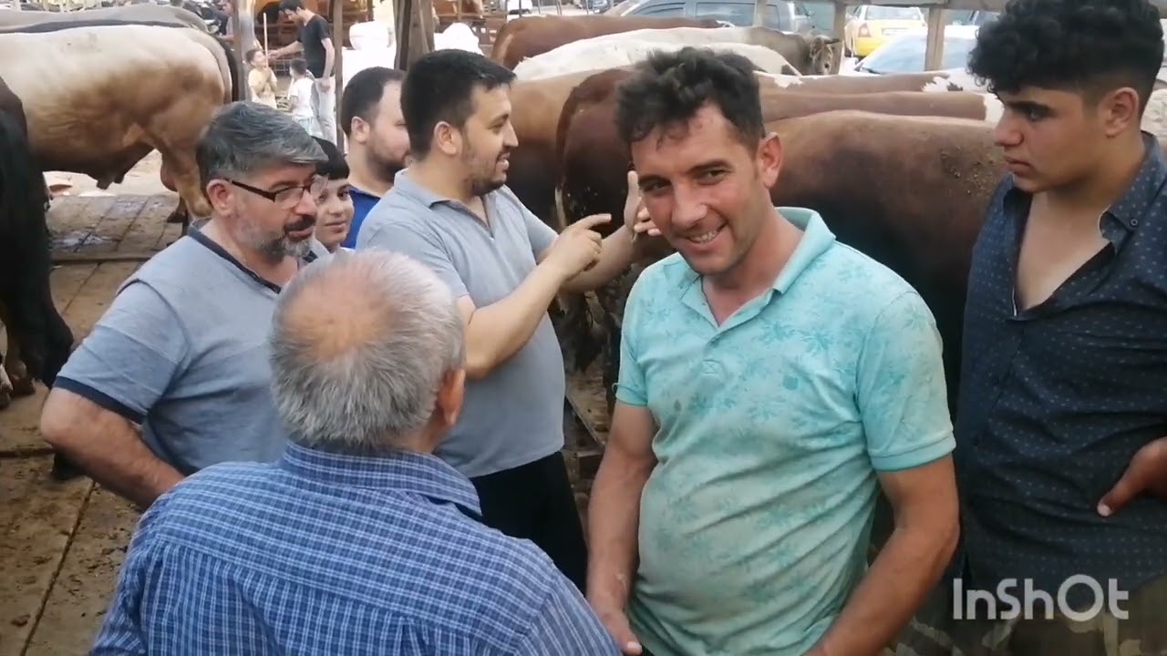 uzun süren kurban pazarlığı (iki tarafa da hayırlı olsun)