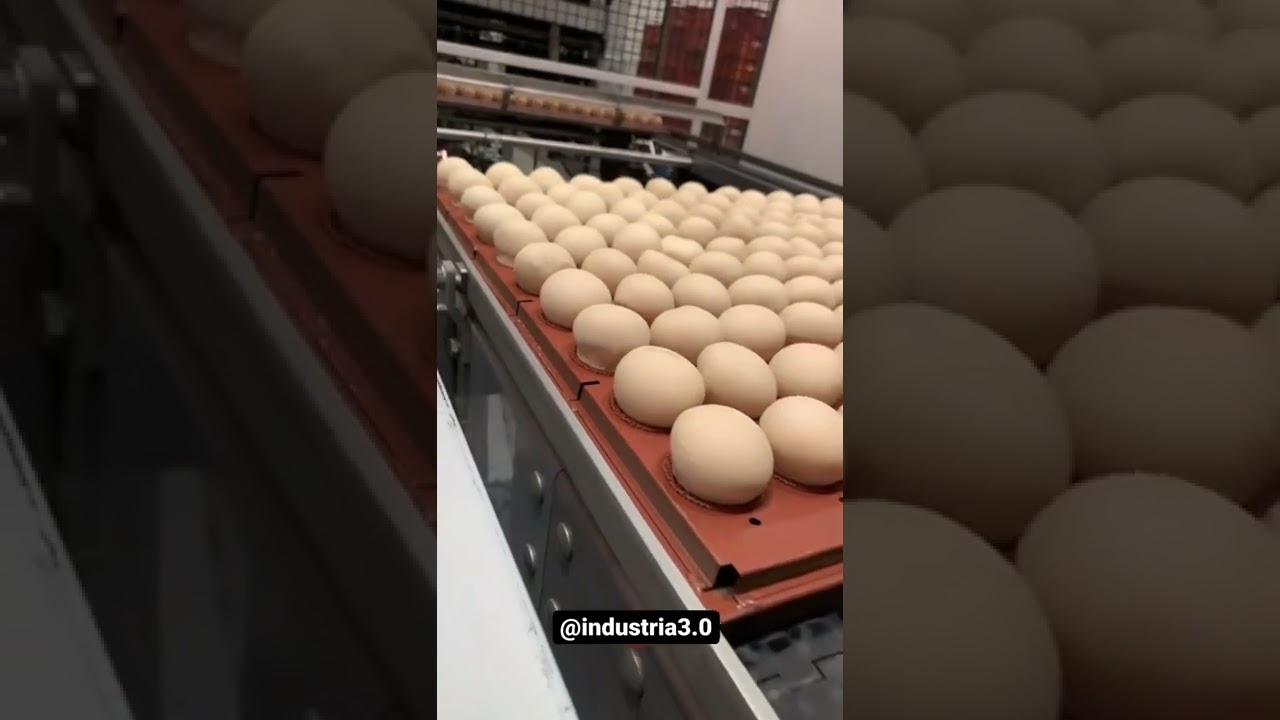 Fabrica de p&atilde;o de alho