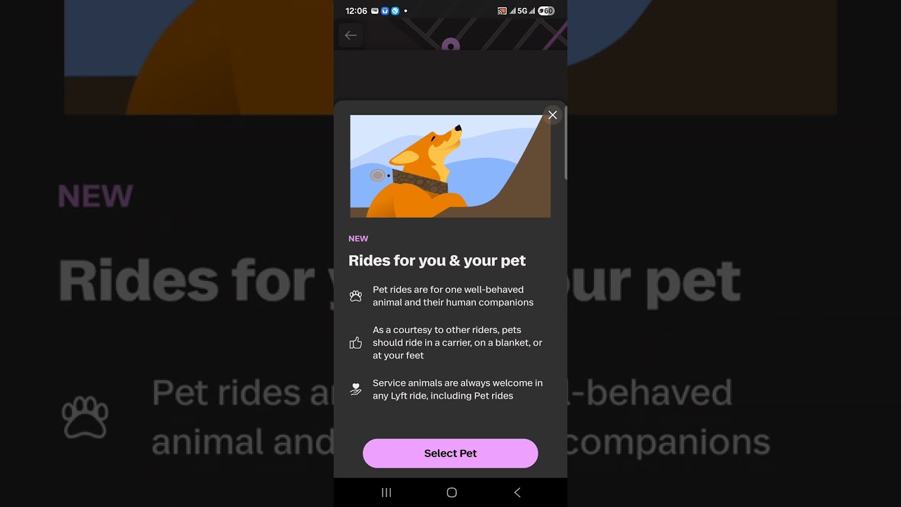 Lyft Hacked video 
