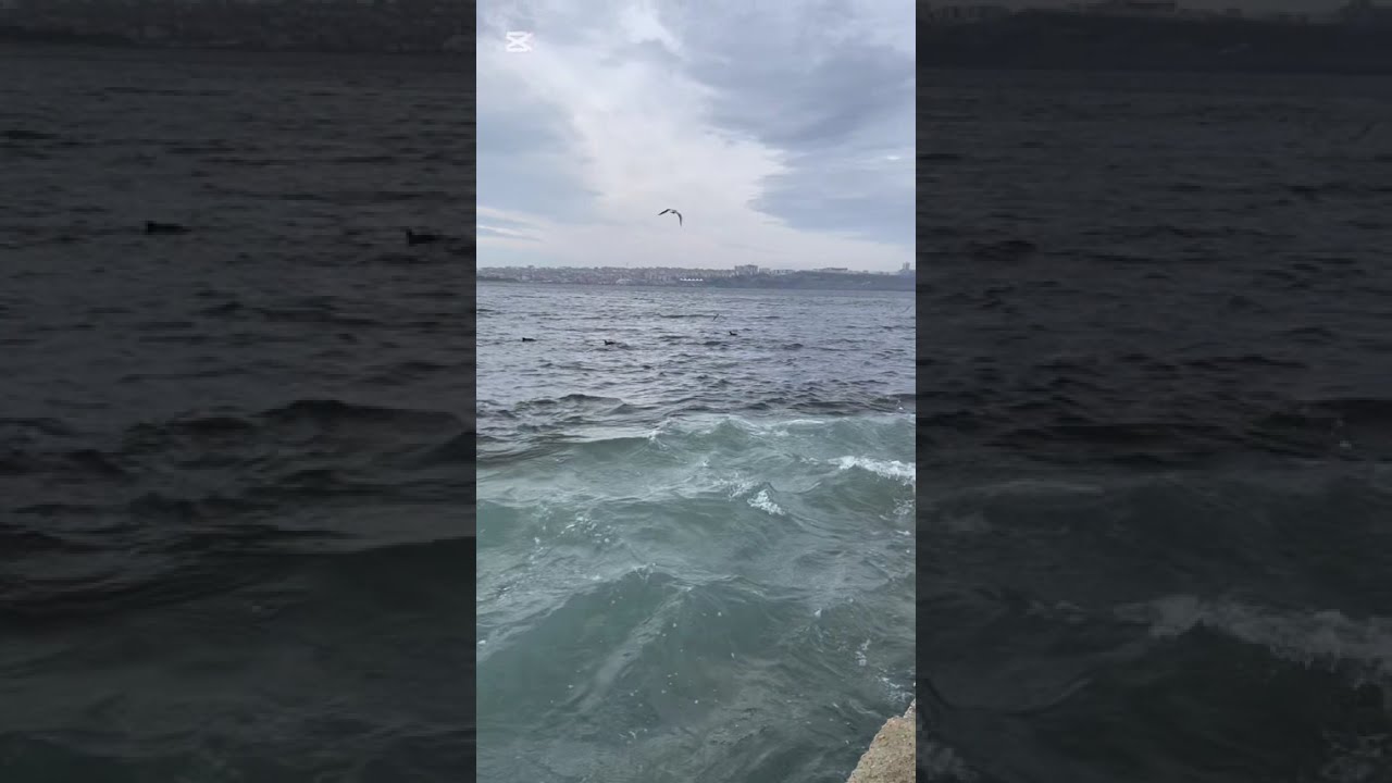 Küçükçekmece Gölü Marmara Denizi Bağlantısı 4 Ocak 2026
