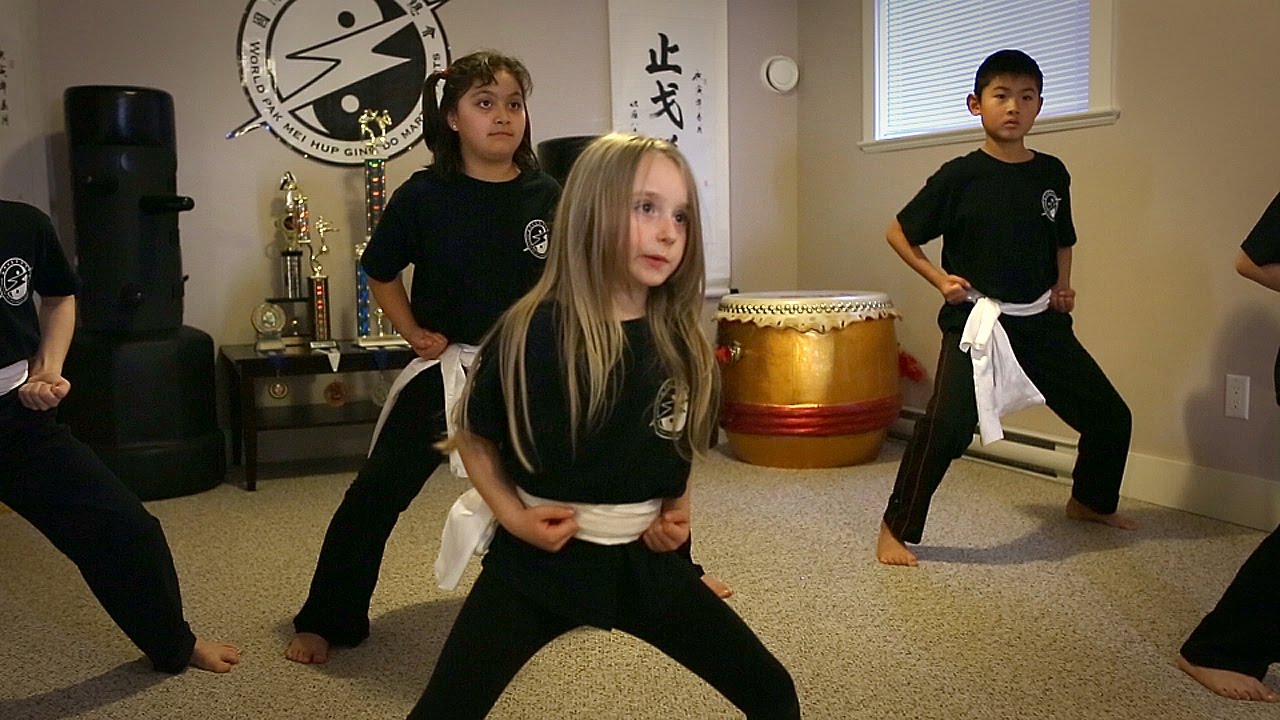 World Pak Mei Hup Ging Do Martial Art - British Columbia Branch