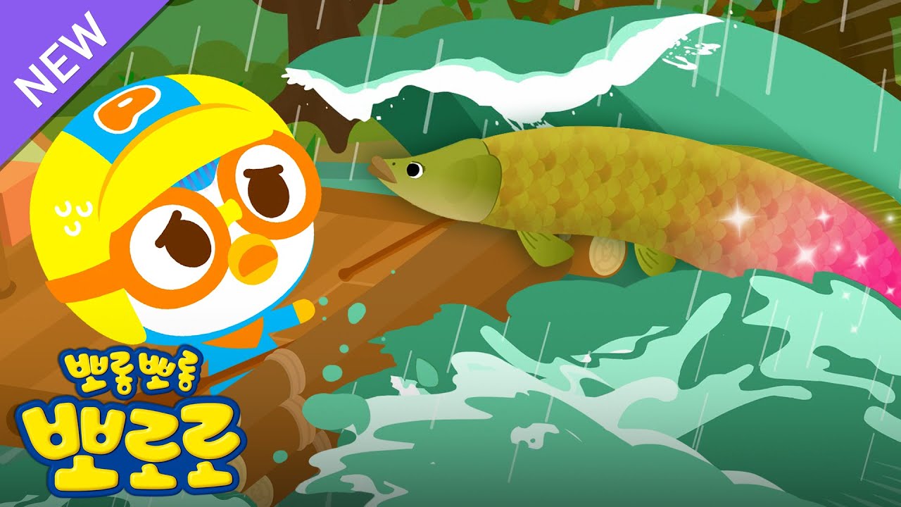 아마존 뽀로로🌴 | 2화 거대한 물고기 피라루쿠 | 루피와 크롱이 사라졌어요! | 뽀로로 아마존대모험