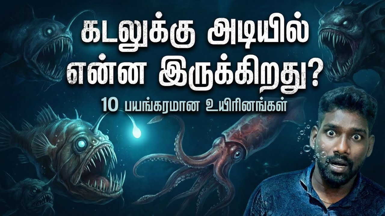 கடலின் அடியில் மறைந்திருக்கும் 10 பயங்கர உயிரினங்கள் | Deep Sea Monsters Explained in Tamil