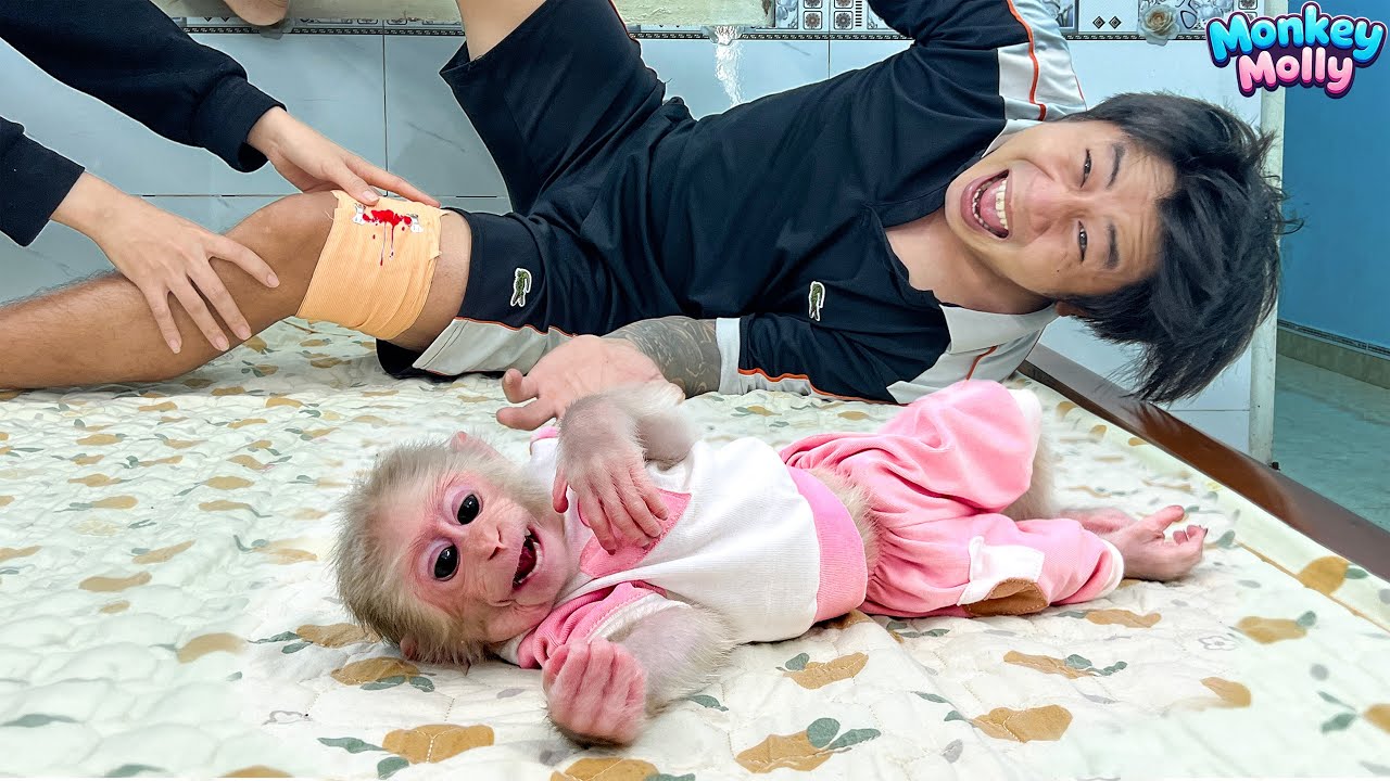 Monkey Molly shivers as mom's husband's leg gets worse