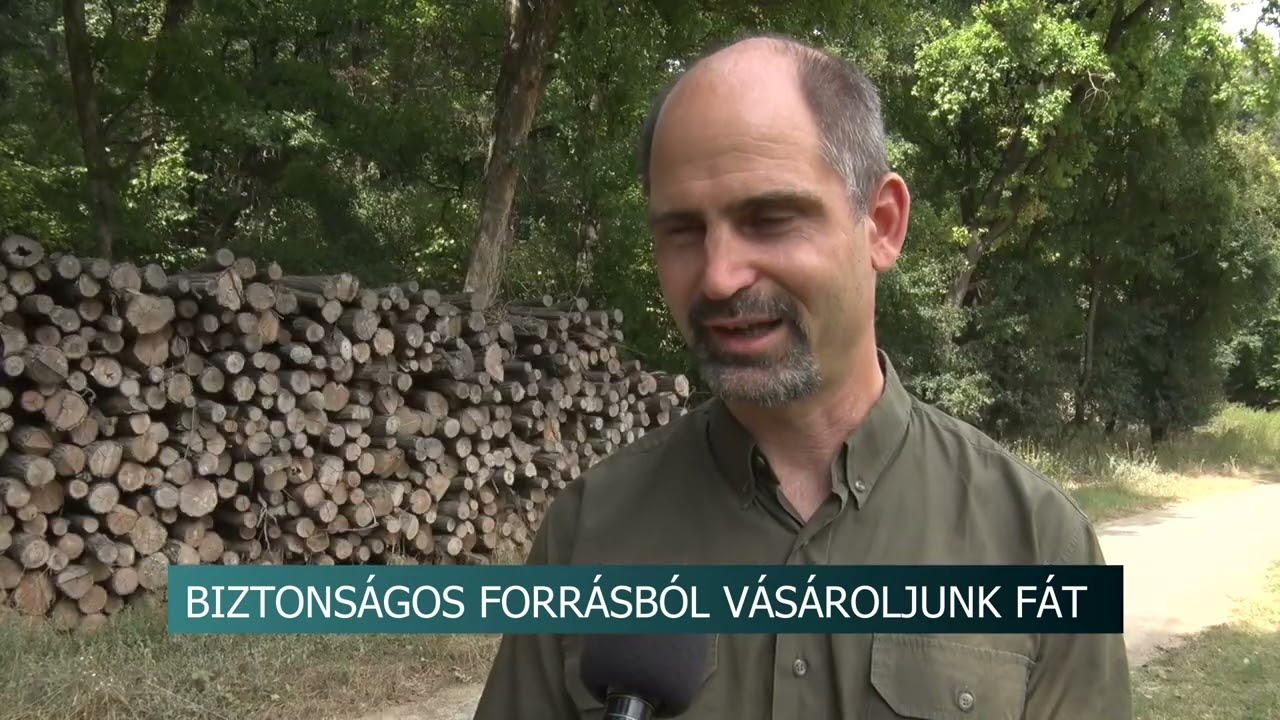 Tűzifa v&aacute;s&aacute;rl&aacute;s - t&aacute;j&eacute;koz&oacute;djunk megfelelően