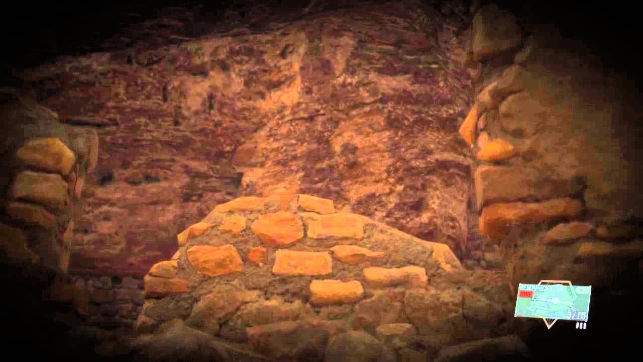 Metal Gear Solid V: The Phantom Pain Honey Bee Location