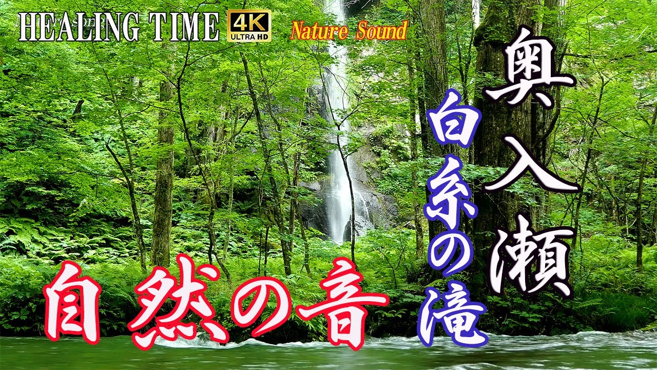 【4K自然音】初夏の奥入瀬渓流　白糸の滝　滝の音　鳥の声　Oirase Keiryu Shiraito Falls in early summer 3ｈ　 Nature song#20