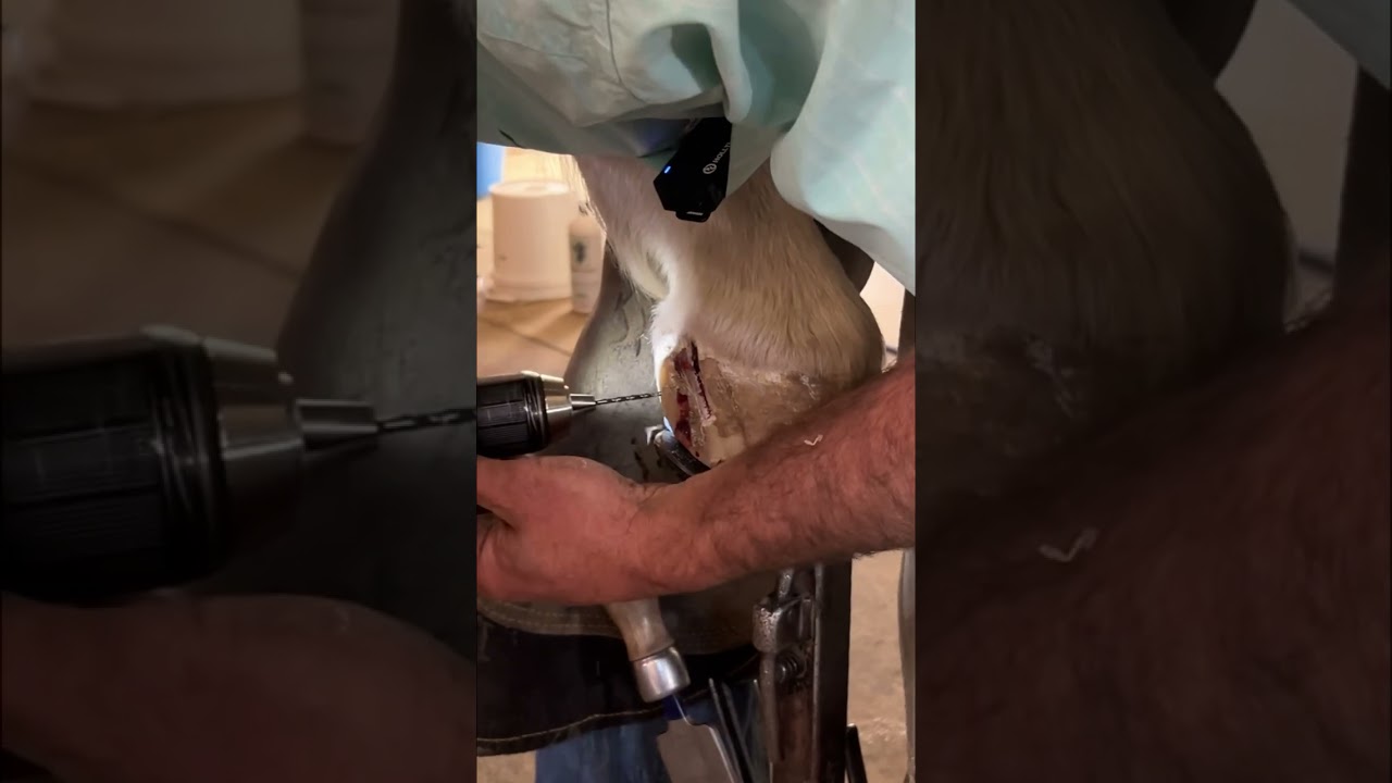 The BEST way to fix a quarter crack