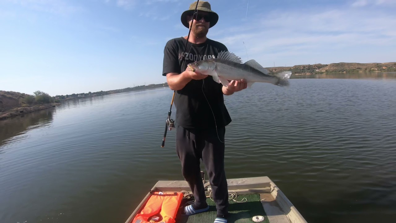 Zanderwahn am Ebro
