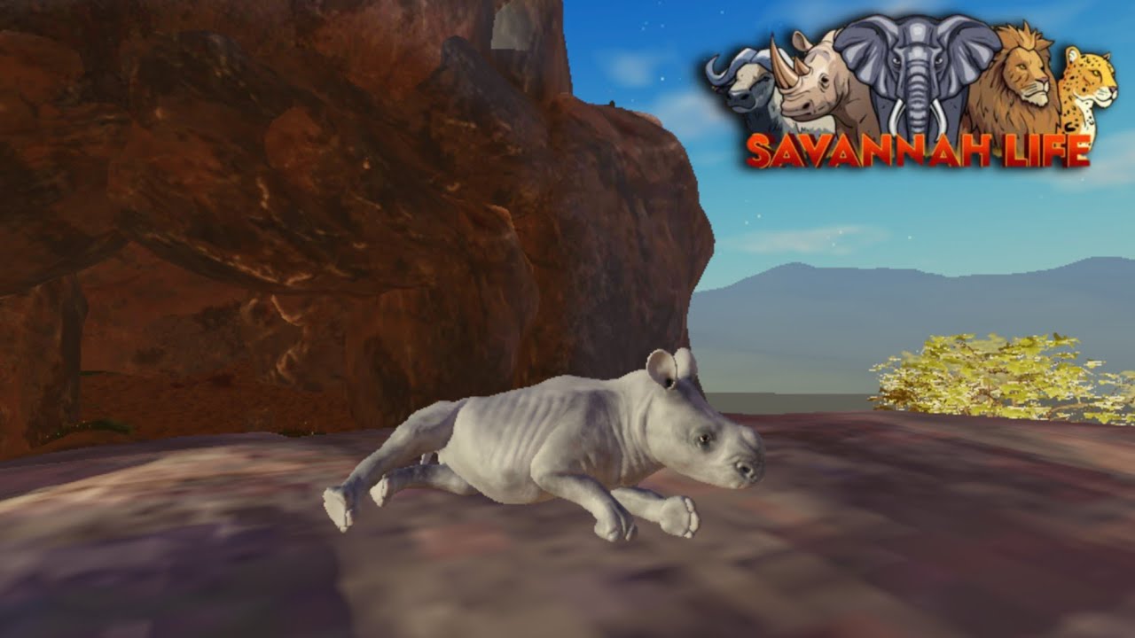 Play as a rhino in Savannah life | Rhino Gameplay