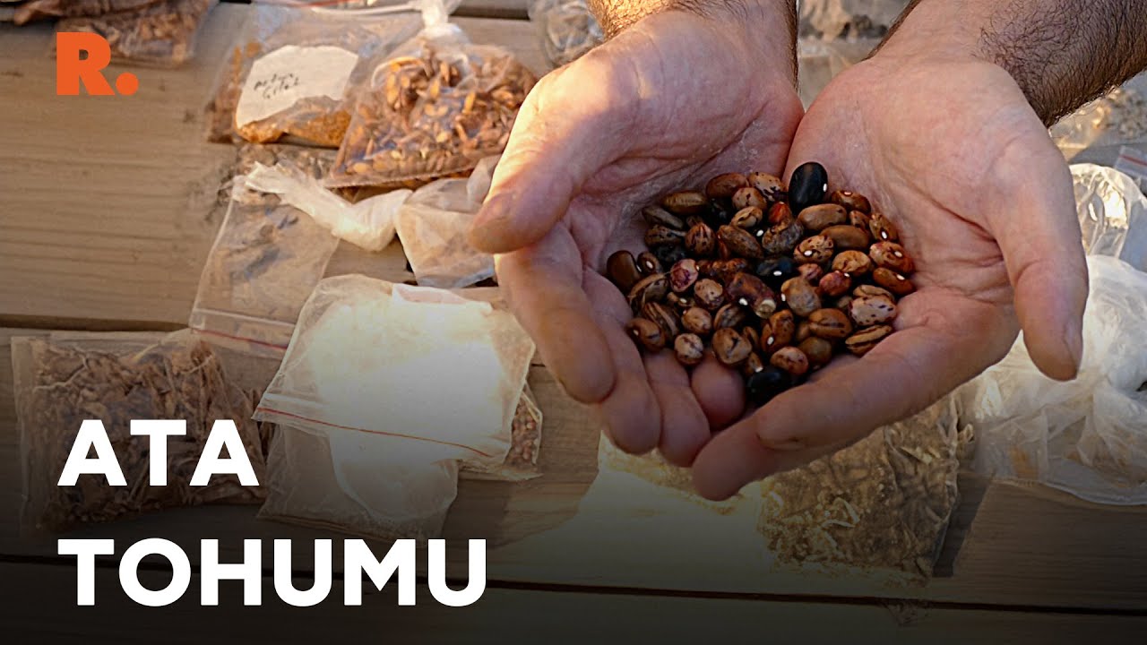Yazılımcılığı bıraktı, hayatını ata tohumlarına adadı