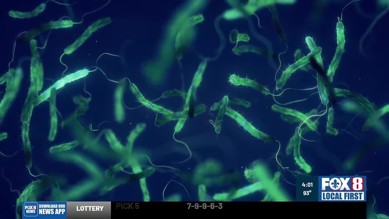 State issues alert as flesh-eating bacteria cases and deaths rise