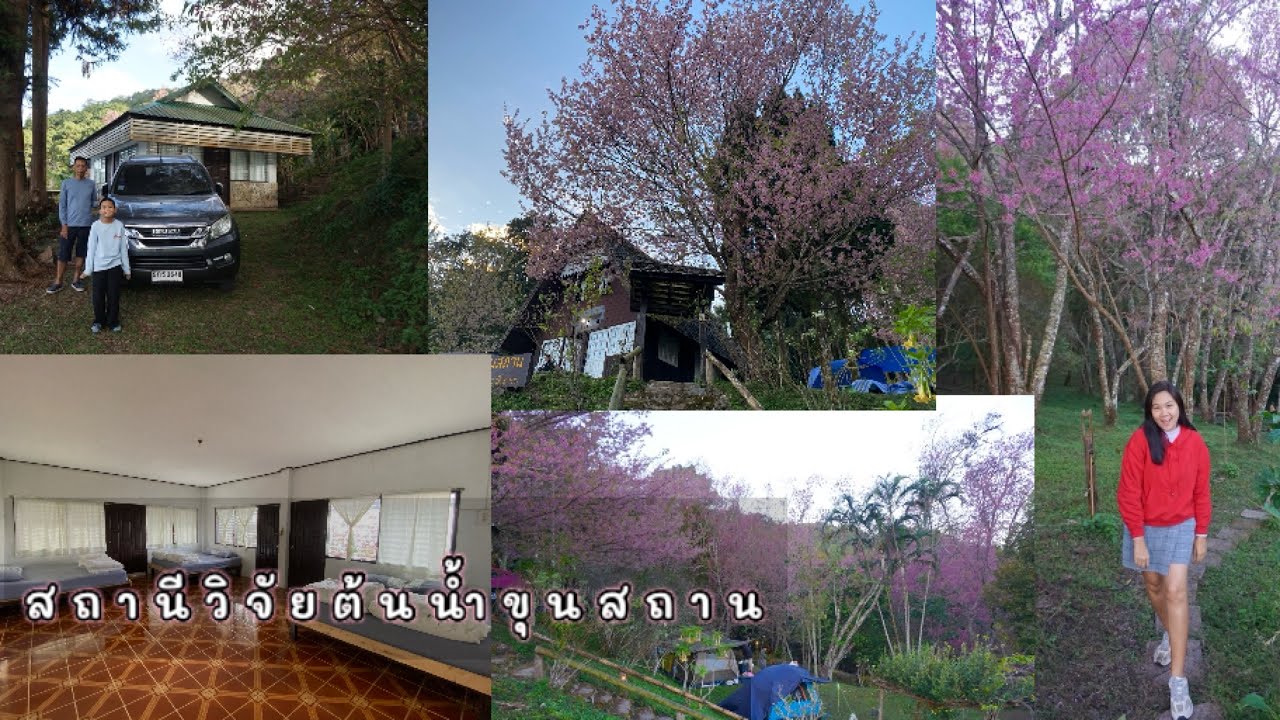 รีวิวบ้านพักนอนใต้ต้นนางพญาเสือโคร่งสถานีวิจัยต้นน้ำขุนสถาน จ.น่าน30ธันวาคม2568 #ครอบครัวคีตะ #534