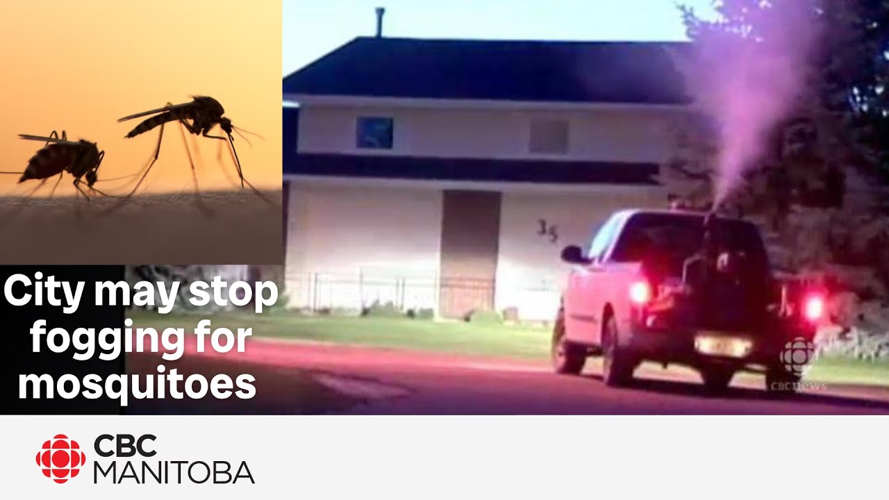 Winnipeg may stop fogging for adult mosquitoes once existing pesticide supply runs out