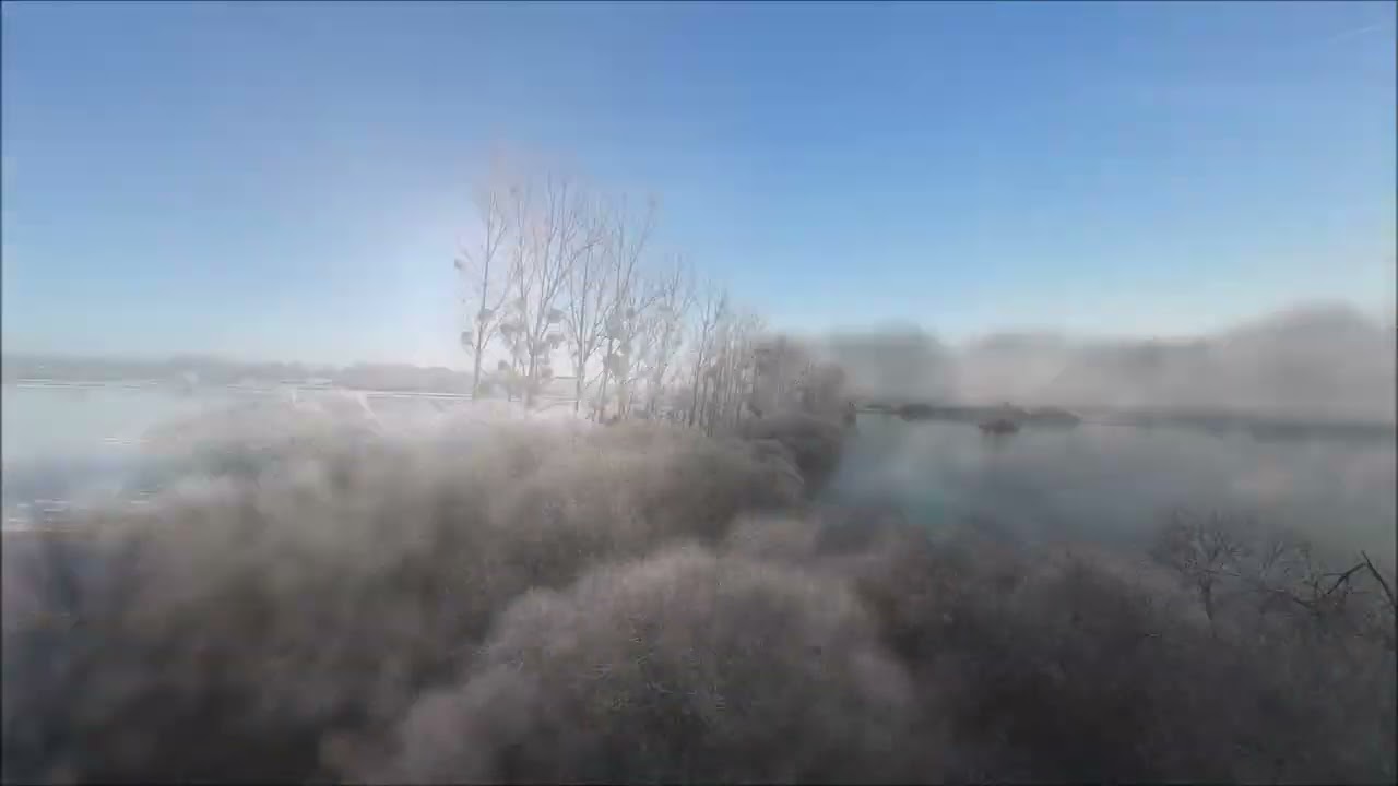 Marais de Goulaine partiellement gelé le 04 01 2026