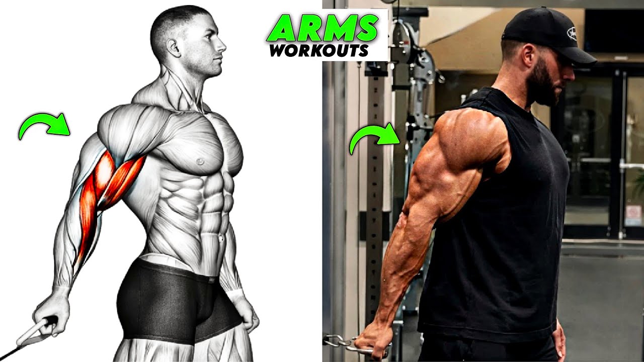 8 Ultimate Arm Exercises for Massive Biceps & Triceps 💪🔥