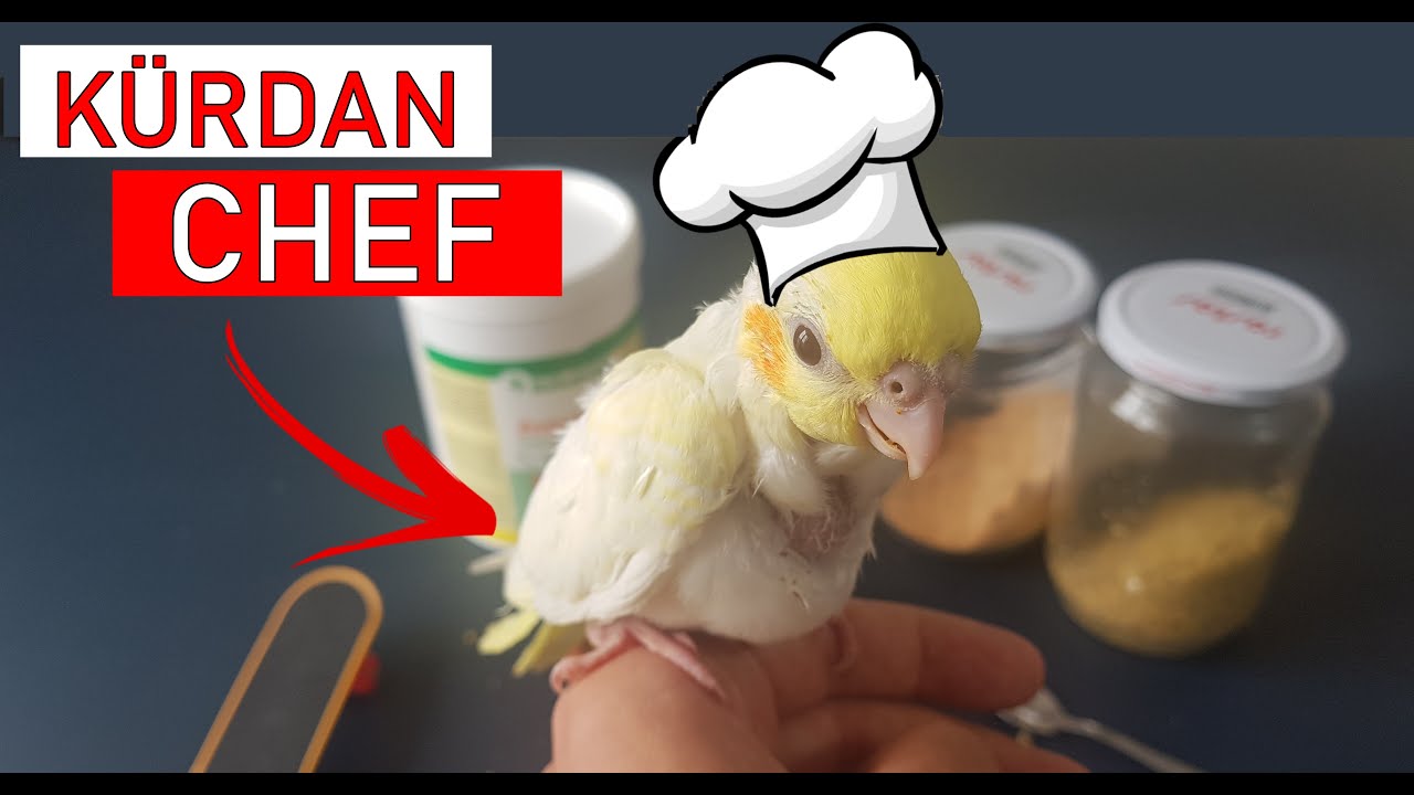 KÜRDAN BEBEK KAHVALTI HAZIRLIYOR! 🐣