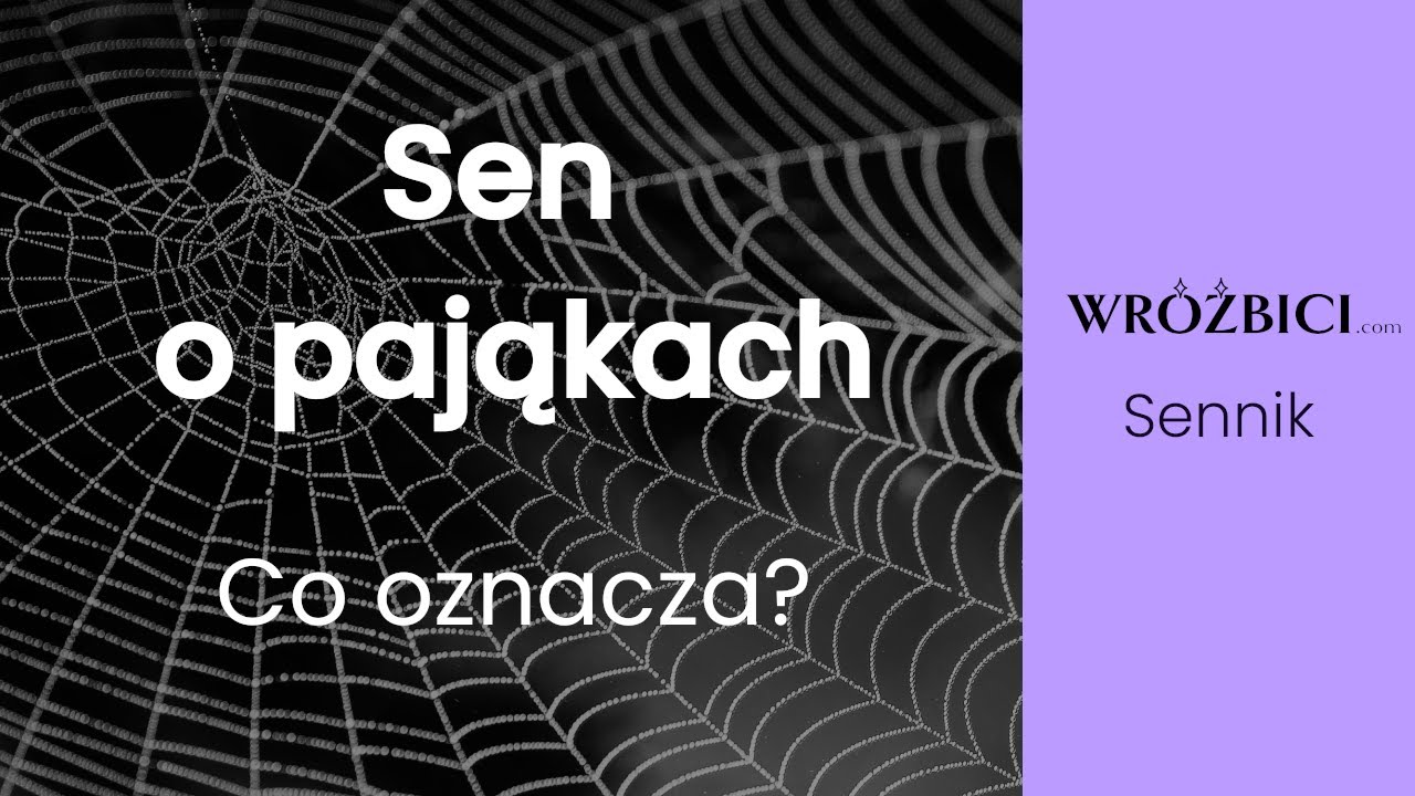 Co oznacza Sen o Pająkach? Sennik | Wr&oacute;żbici.com