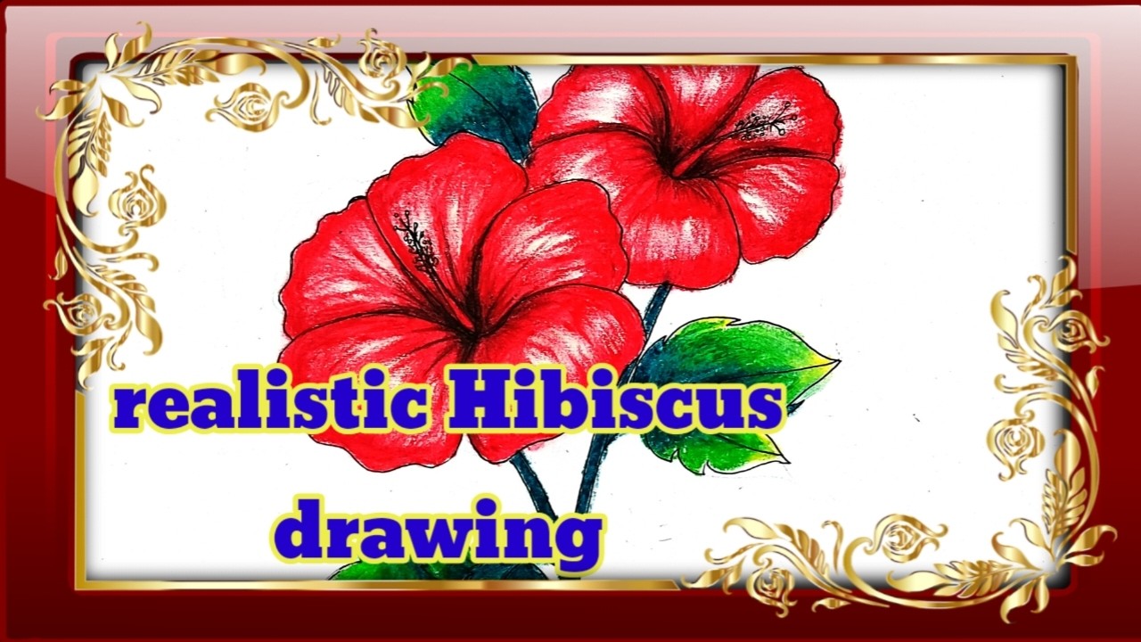 How to draw Flower drawing |Flower Drawing Realistic| Art gallery 14||